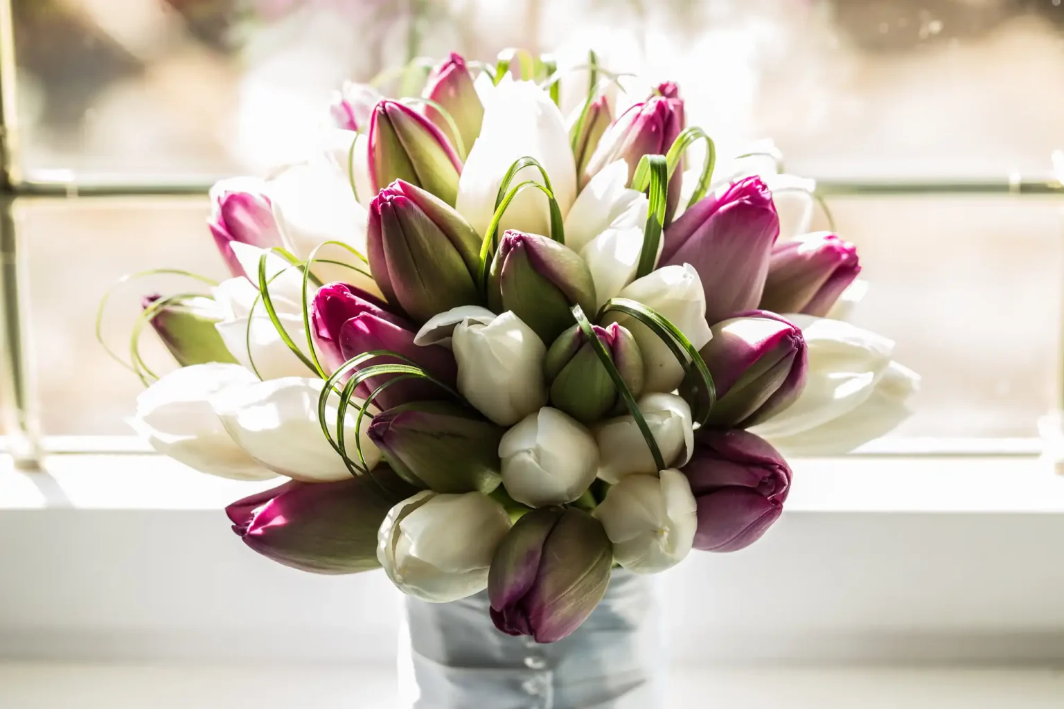 A bouquet of white and pink tulips in a vase, placed against a sunlit window with a soft-focus background.
