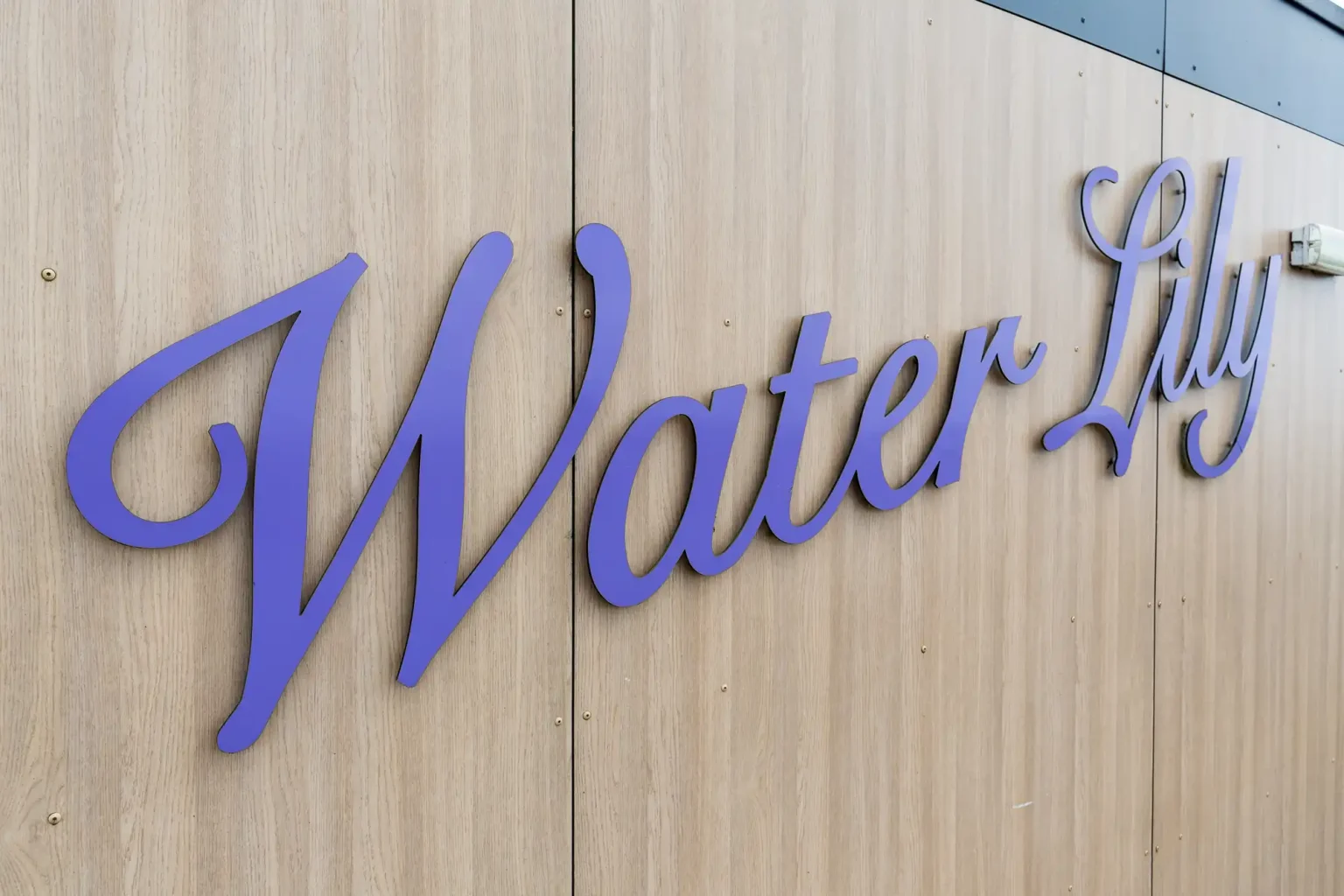 Blue cursive text "water lily" on a light wooden panel background.