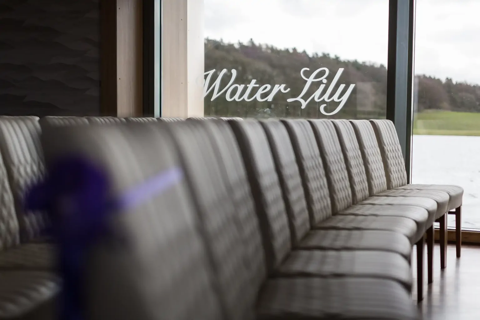 Gray upholstered couch in a room with large windows overlooking a lake, with "water lily" written on the glass in white letters.