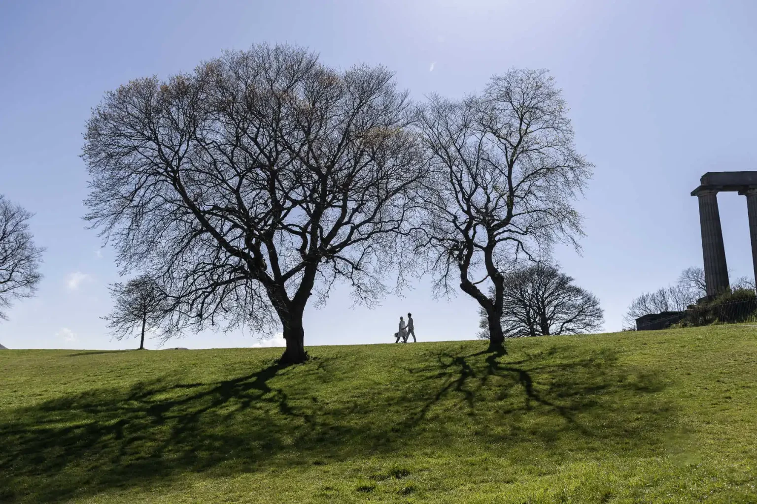 Two people walk on a grassy hill beneath leafless trees with long shadows, under a clear blue sky. A column structure is partially visible on the right.