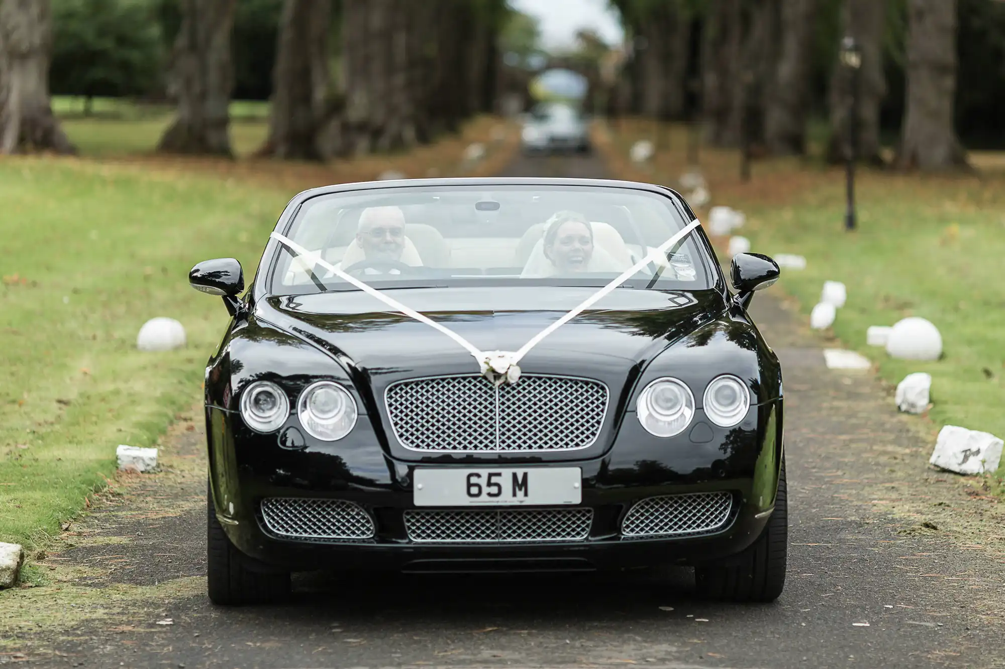 A wedding couple in a black convertible car driving down a tree-lined road, with the car decorated with a white ribbon.