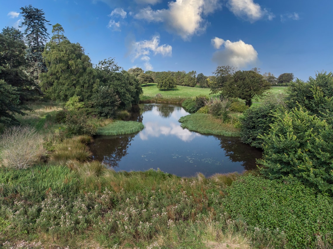 aerial photo of pond and Courtyard Cottages