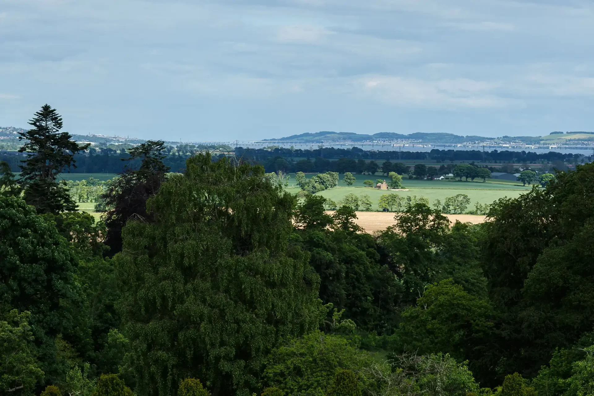 Lush countryside landscape with dense foreground trees, rolling green fields, and distant hills under a cloudy sky.