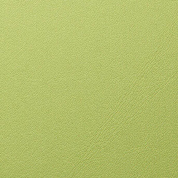 Leather Apple Green