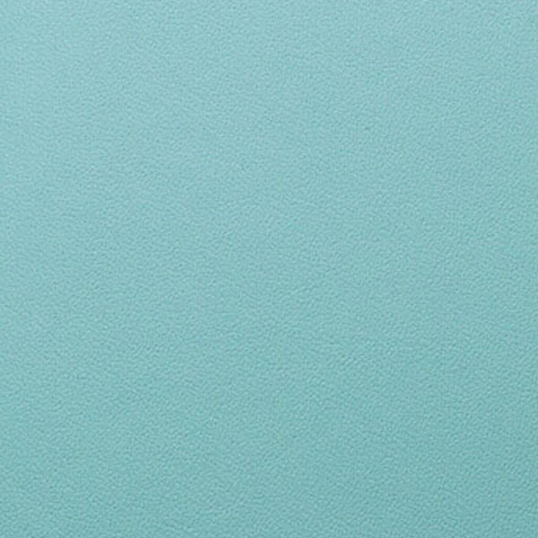 Leather Aqua
