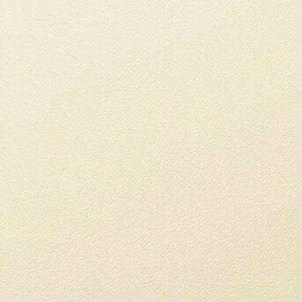 Leather Ivory