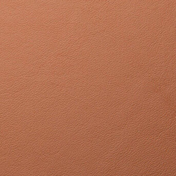Leather Tan