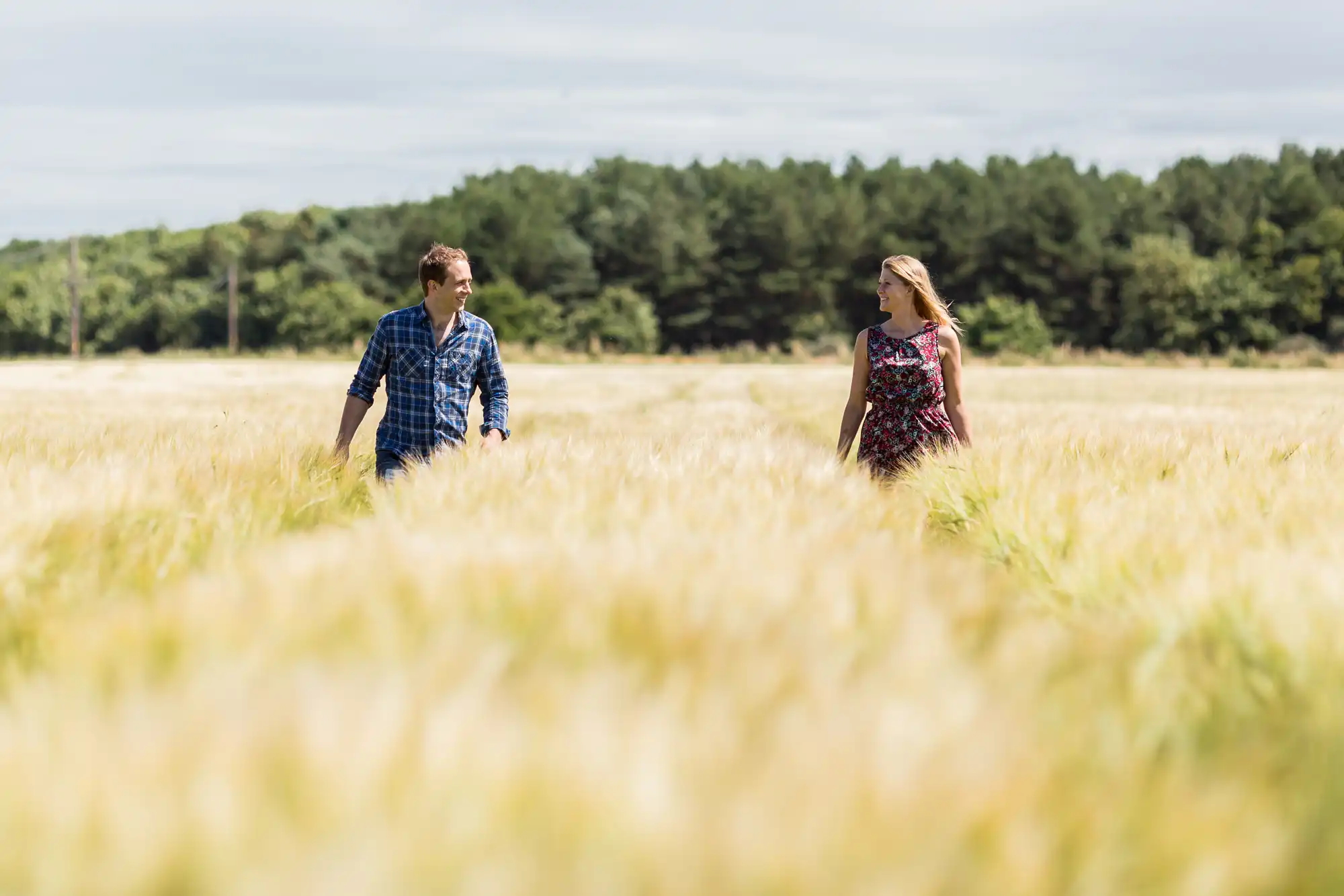 Two people walking through a wheat field, facing each other and talking, with trees in the background.