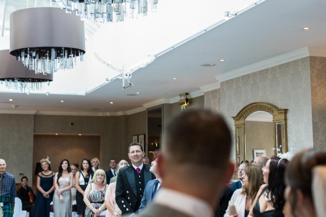owl delivers the wedding rings in The Ballroom