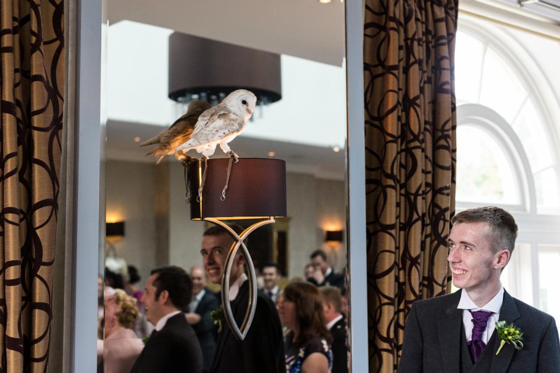 owl delivers the wedding rings
