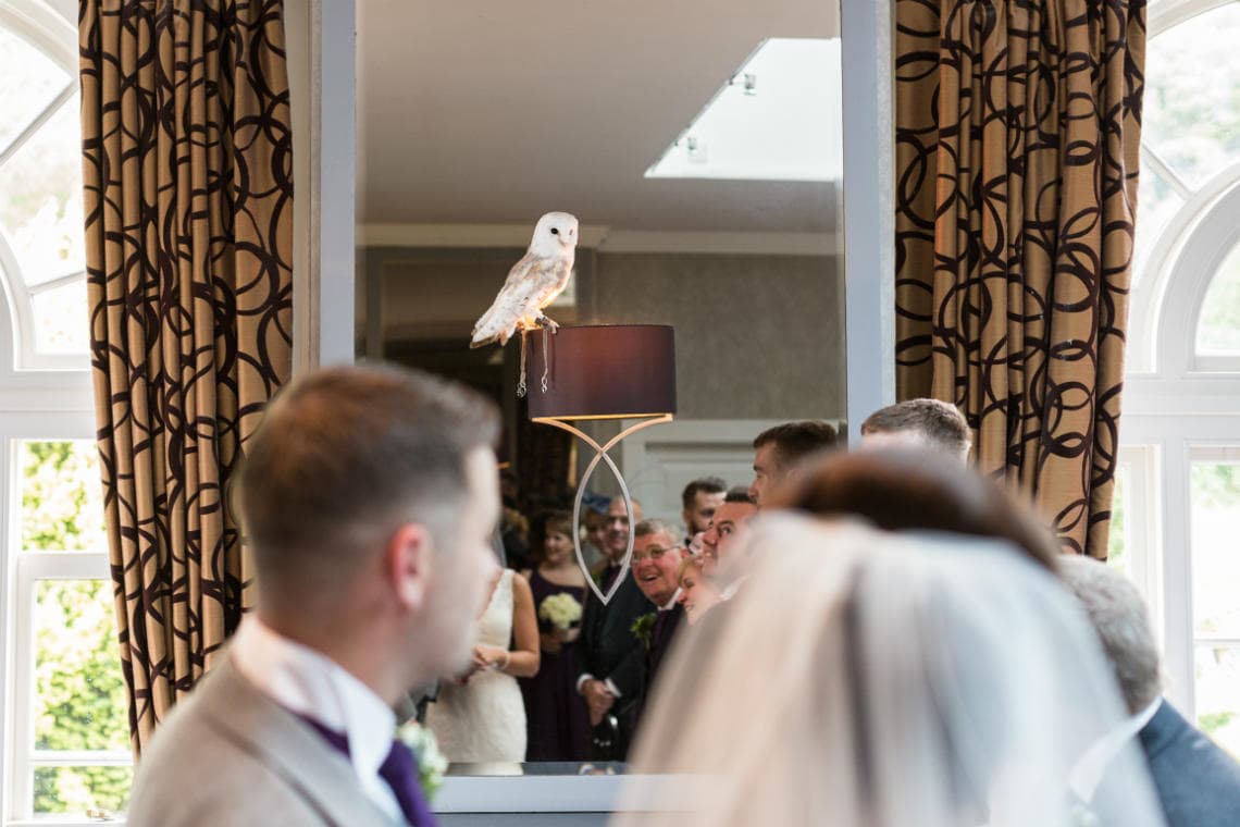 owl delivers the wedding rings