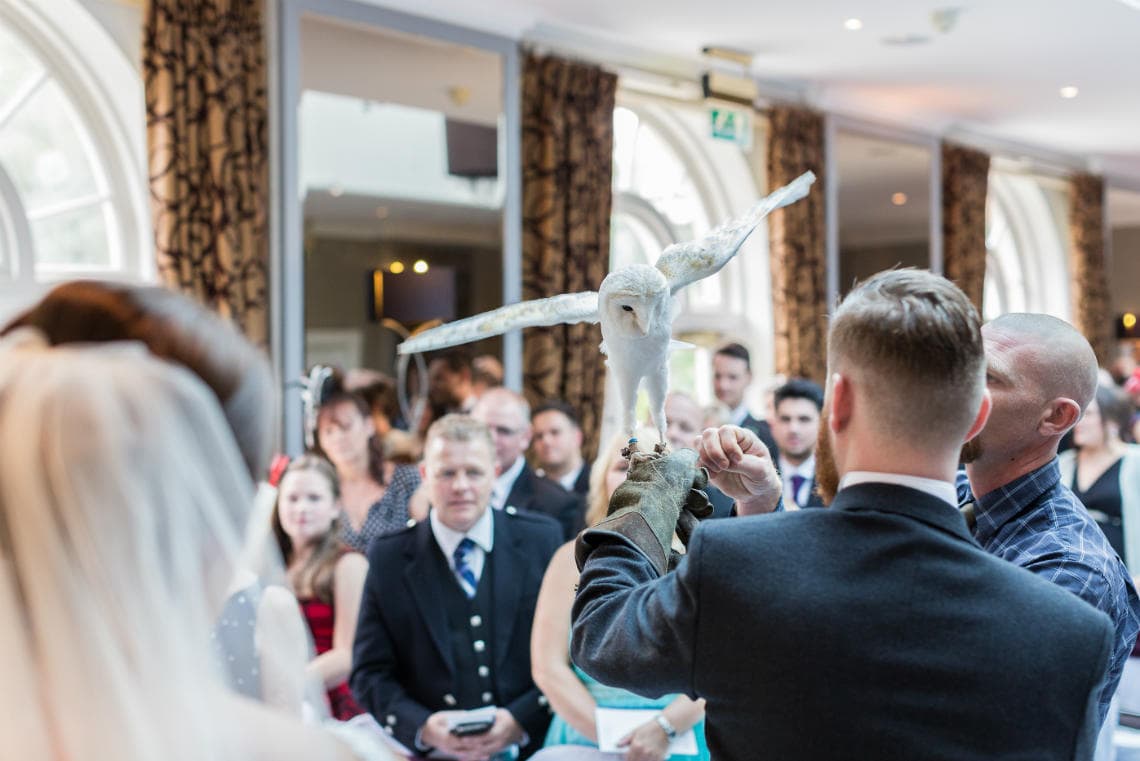 owl delivers the wedding rings