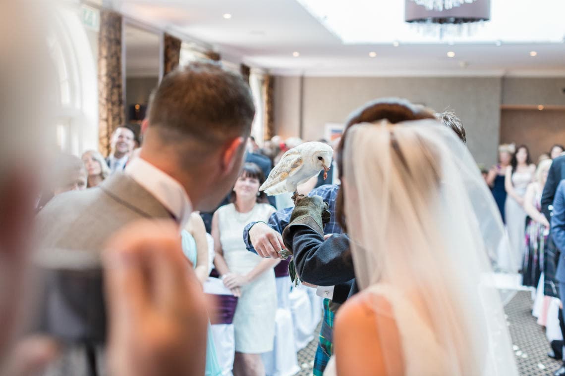owl delivers the wedding rings