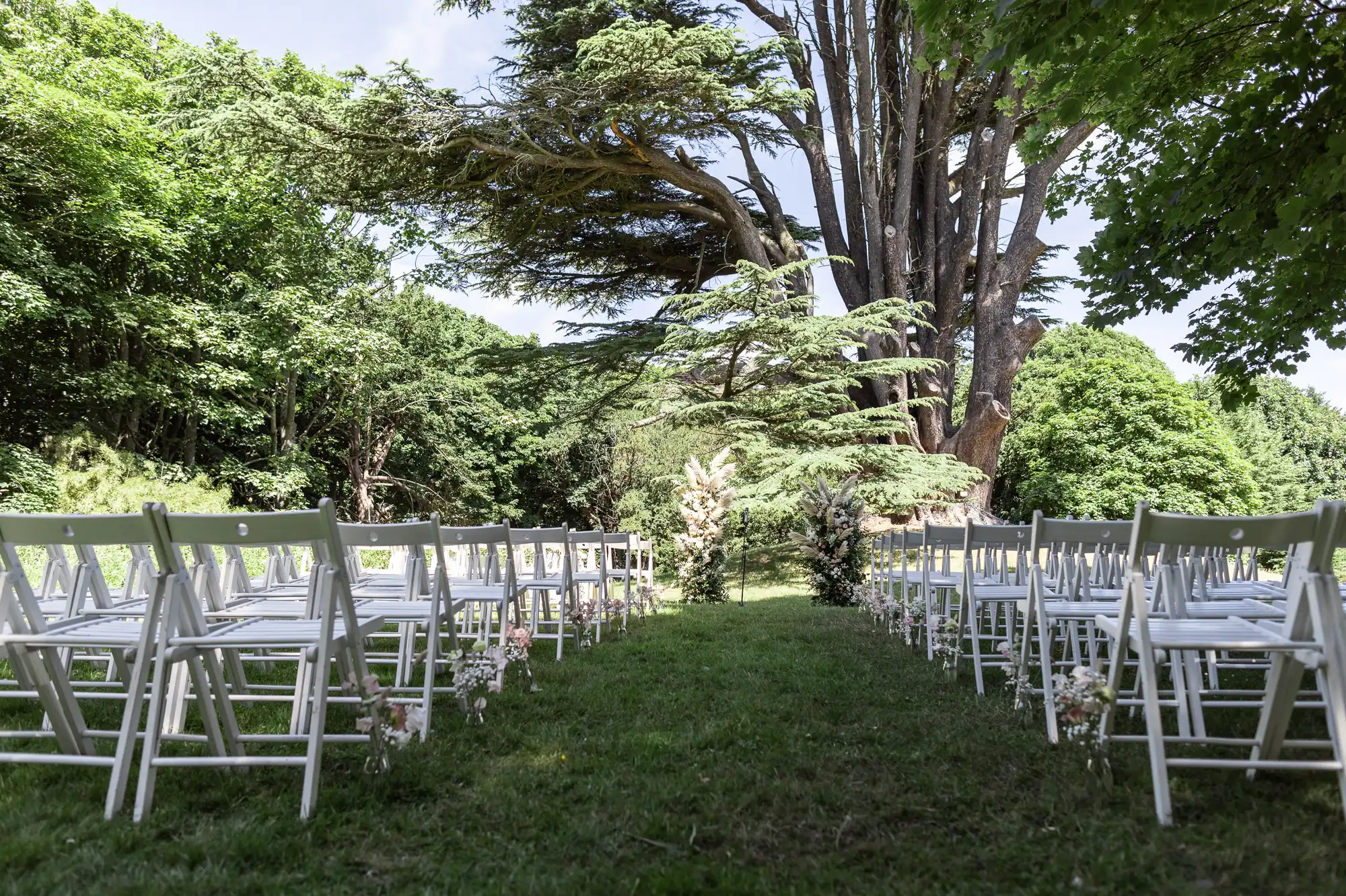 Rows of white folding chairs are arranged on green grass, forming an aisle lined with small white flowers, leading to a large, leafy tree at the outdoor wedding ceremony site. Sunlight filters through the surrounding trees, creating a serene, natural setting.