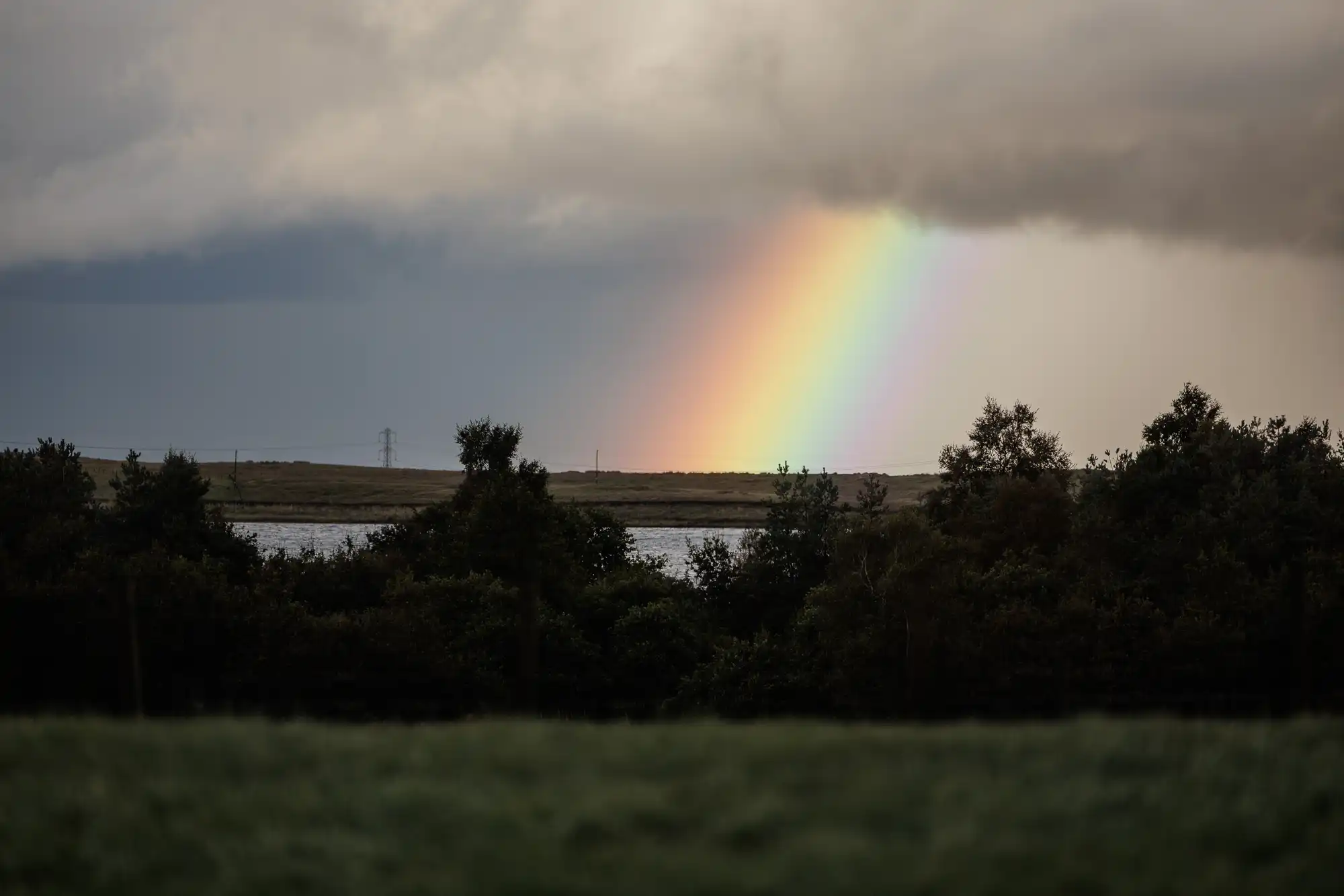 A vivid rainbow appears against a cloudy, grey sky, touching down behind dark silhouettes of trees and bushes. A body of water is visible in the background, and the foreground consists of green grass. The scene has an overall serene, natural atmosphere.