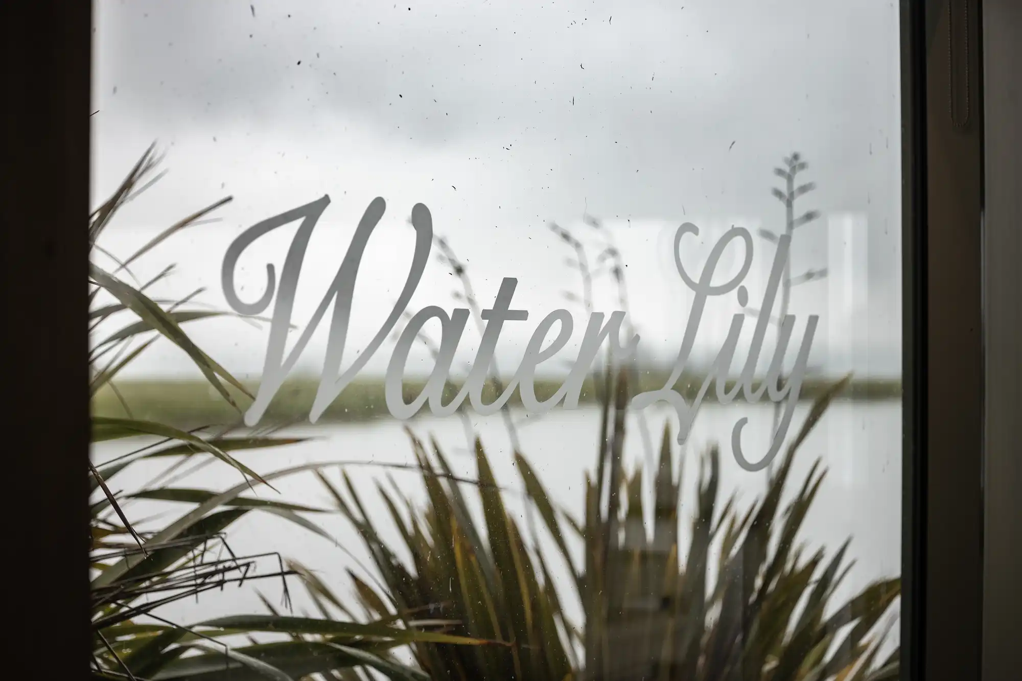 A close-up of a glass window with the words "Water Lily" etched on it, with blurred green plants and a cloudy sky visible outside. The scene suggests a view from inside, looking out over water and greenery.